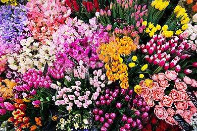 《Katana Robo: RTA》Steam页面上线 只狼向上跑酷动作